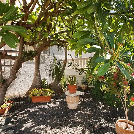 Bonito Y Acogedor Apartamento